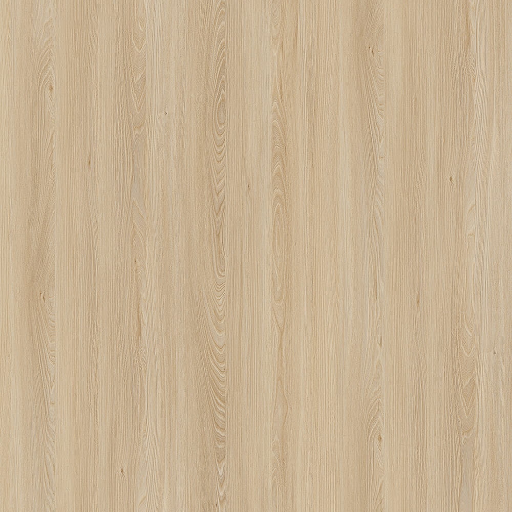 E11032 Elm Caucasus