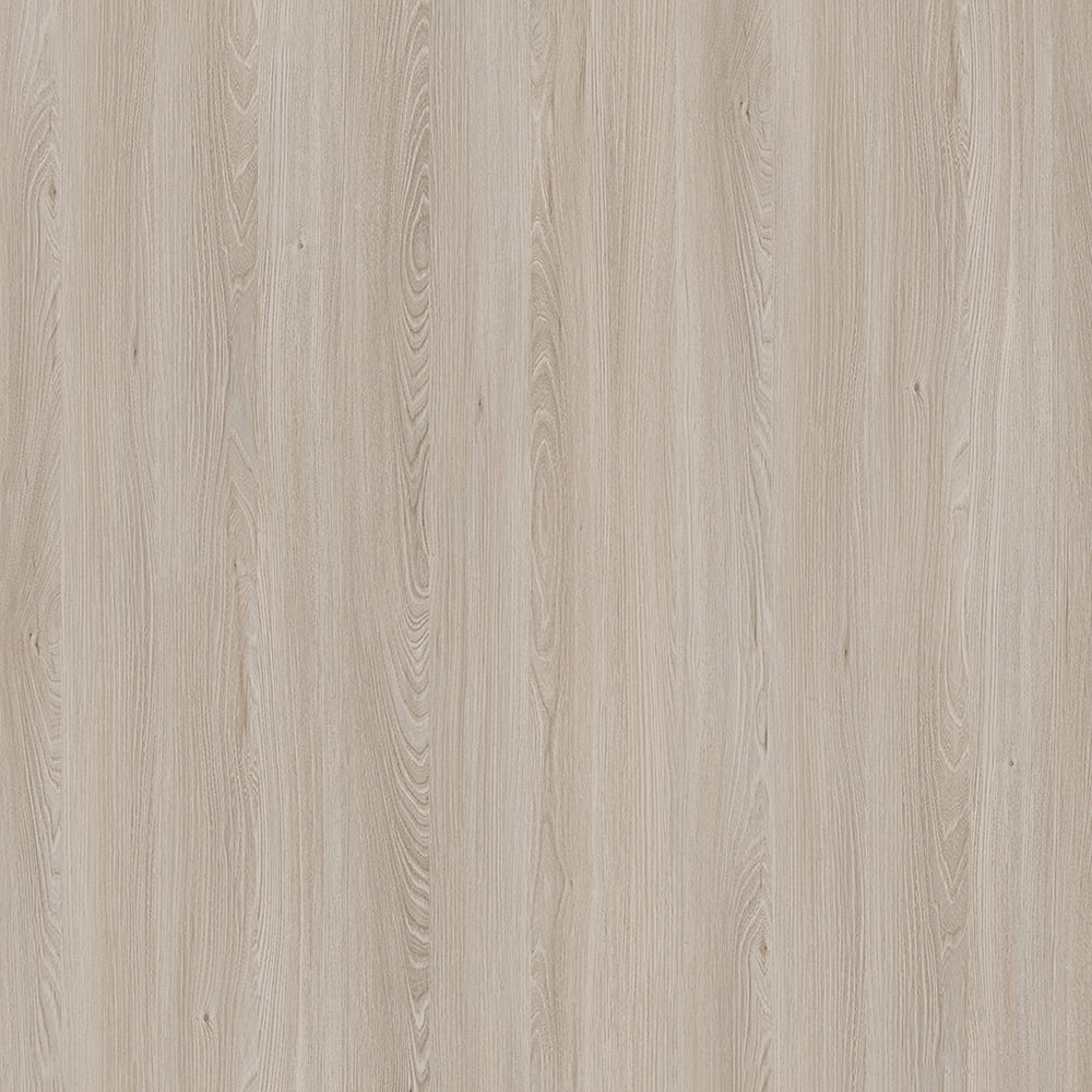 E11032 Elm Caucasus