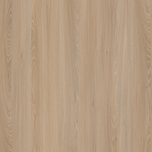E11032 Elm Caucasus